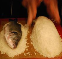 Poissons 2 2014 (11)